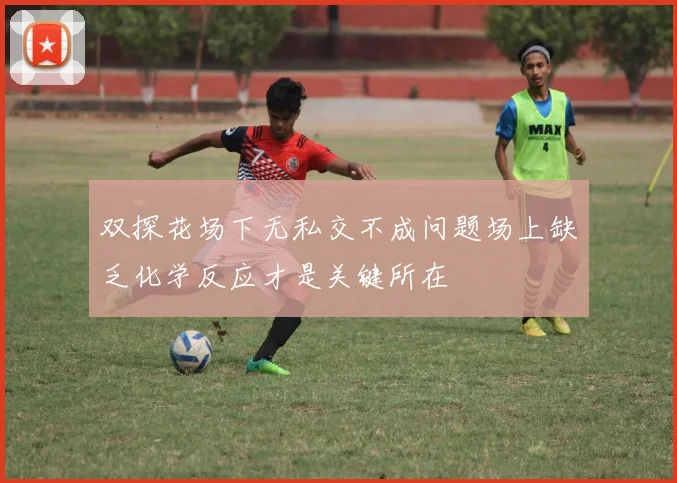 双探花场下无私交不成问题场上缺乏化学反应才是关键所在