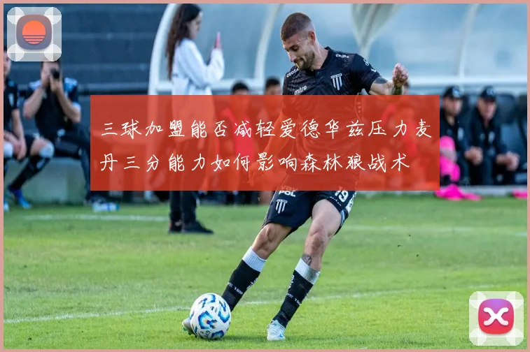 三球加盟能否减轻爱德华兹压力麦丹三分能力如何影响森林狼战术